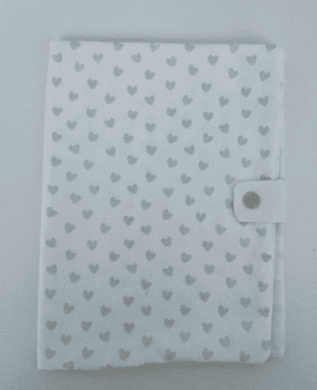 Housse de carnet de santé personnalisé avec prénom thème dinosaure (1)